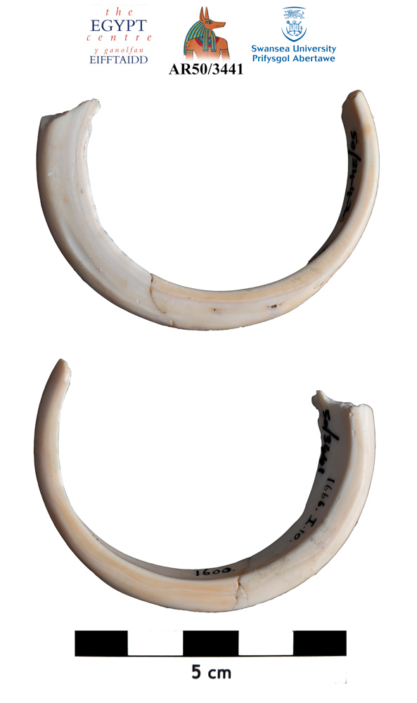 Image for: Fragment of a bracelet
